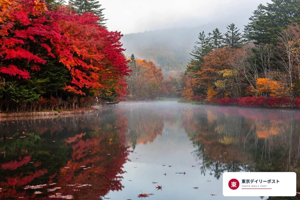 雲場池｜軽井沢の紅葉と水鏡の絶景